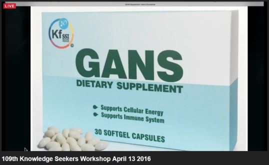kf_gans_supplement